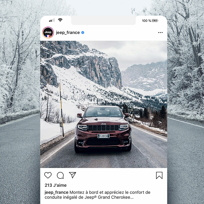 4 iconic brands on French social media