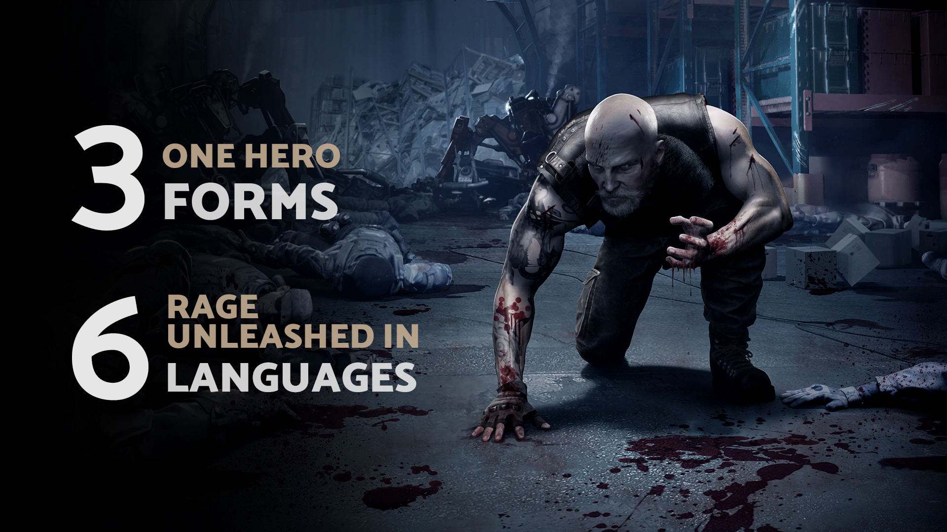 Multi Language website