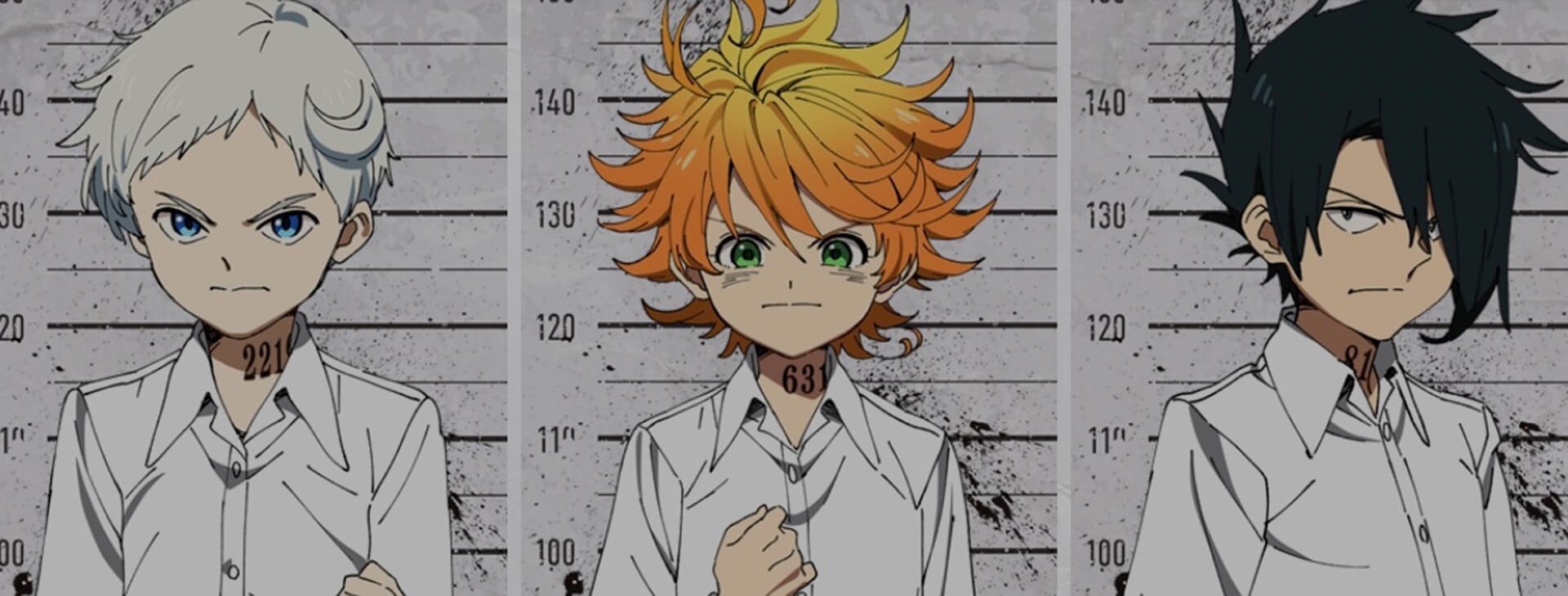 The Promised Neverlands