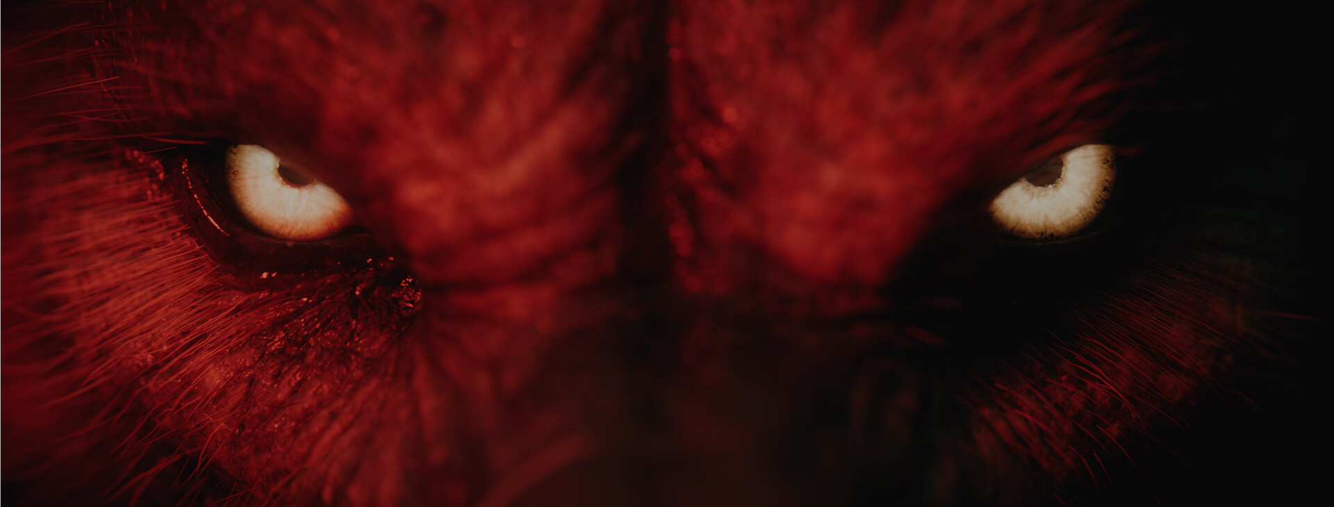 Werewolf The Apocalypse